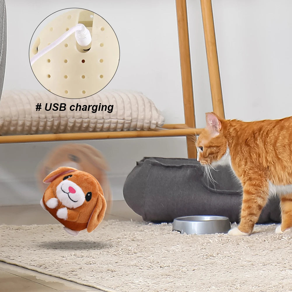 Pountce® Balle de Jeu Interactive pour Animal
