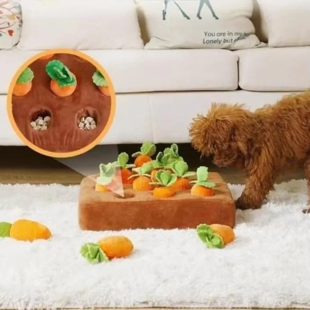 Fruitoy® Jouet Interactif en Peluche pour Animal